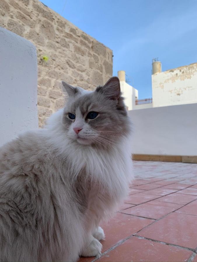 مبيت وإفطار لاس بالماس دي غران كاناريا Casa Doranda Vegueta المظهر الخارجي الصورة